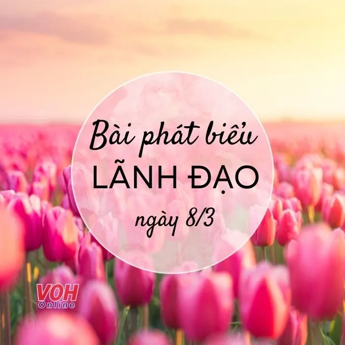 Tổng hợp 13 bài phát biểu ngày 8/3 hay và ý nghĩa nhất 1