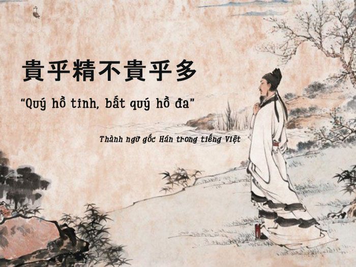 Quý Hồ Tinh Bất Quý Hồ Đa Là Gì? Ý Nghĩa Sâu Sắc & Ứng Dụng