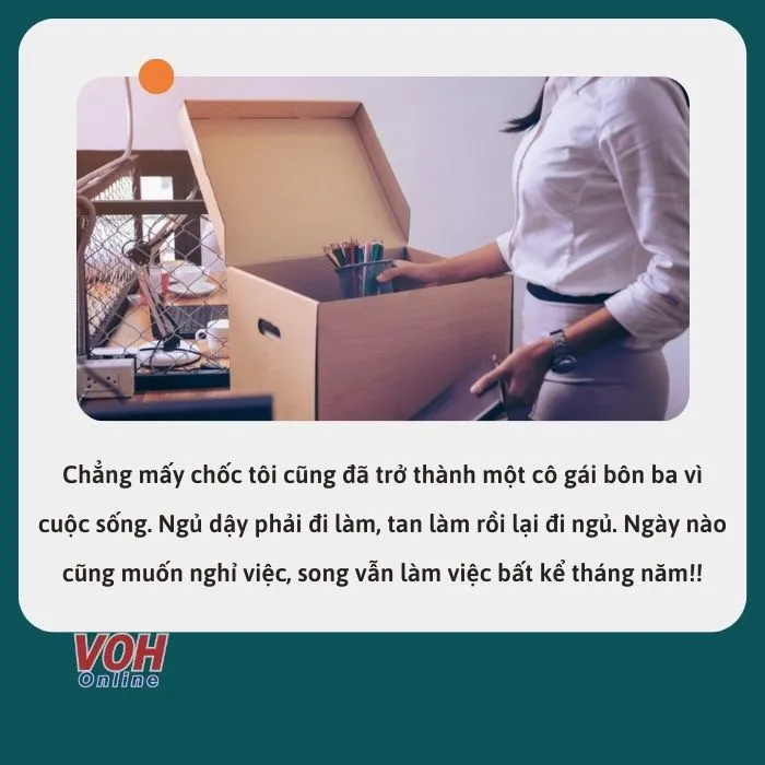 Stt nghỉ việc 3