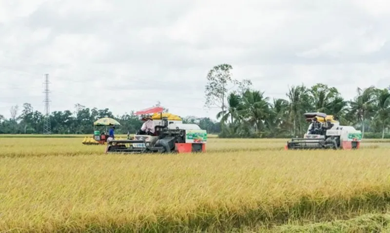 Điểm tin trưa 14/3: Giá vàng giảm mạnh | Xử lý nghiêm tình trạng phá rừng tại Mang Yang 2