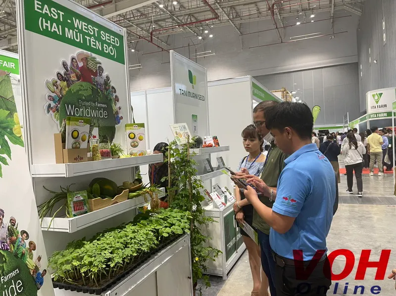Ngành rau, hoa quả Việt Nam dự kiến xuất khẩu đạt 6-7 tỷ đô la Mỹ trong năm 2024 1