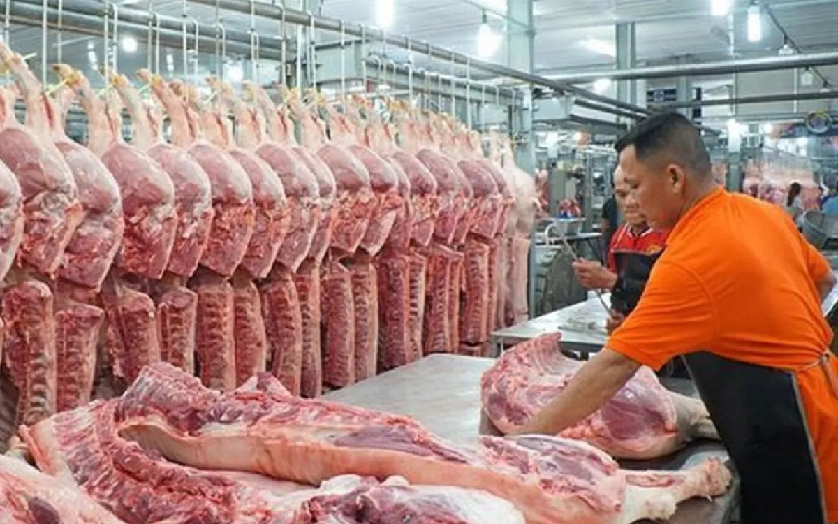 Giá heo hơi hôm nay 15/3/2024: Miền Nam tăng 2.000 đồng/kg 1