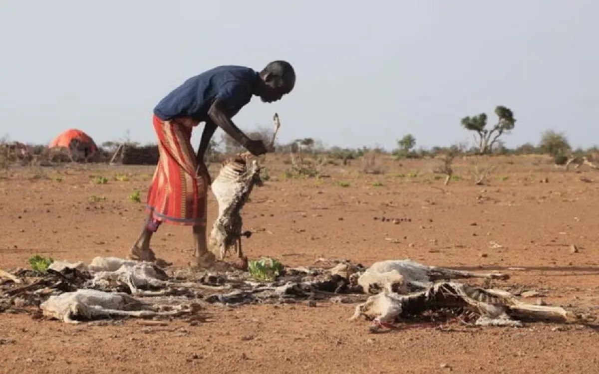 sudan