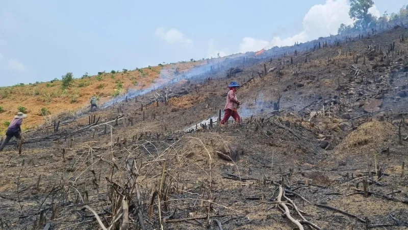 Điểm tin trưa 21/3: Chấm dứt hoạt động Đội 'hiệp sĩ' Biên Hòa | Kỷ luật Phó Chánh văn phòng tỉnh Lâm Đồng 2