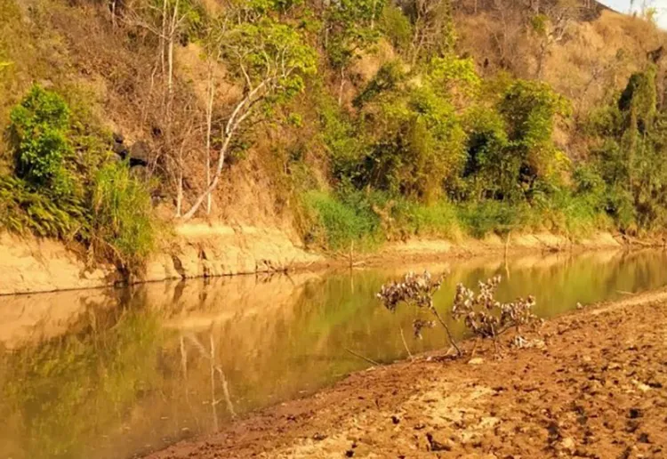 Ba trẻ chăn bò chết đuối thương tâm khi tắm sông tại Gia Lai