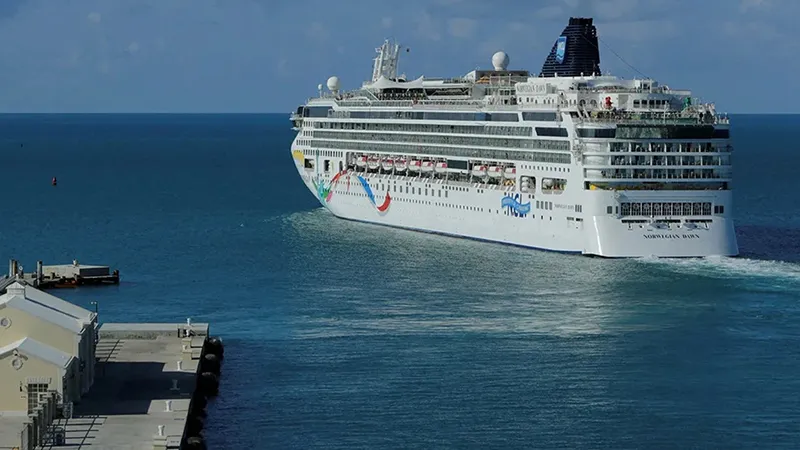 Khách du lịch bị bỏ lại trên đảo khi trở lại tàu không đúng thời gian tham quan 1