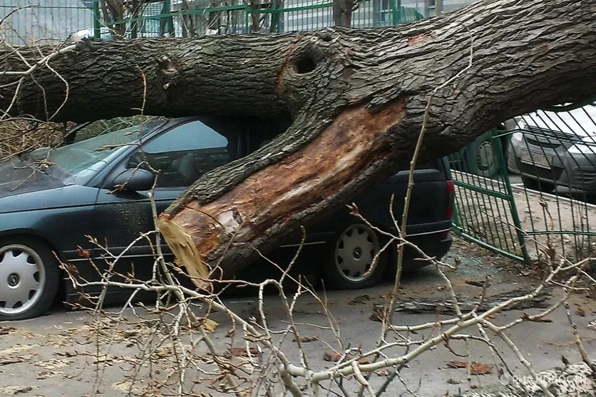 Tin thế giới sáng 4/4: Nga cáo buộc tình báo Ukraine đứng sau vụ khủng bố nhà hát | Giông lốc mạnh khiến nhiều người thương vong ở Moscow