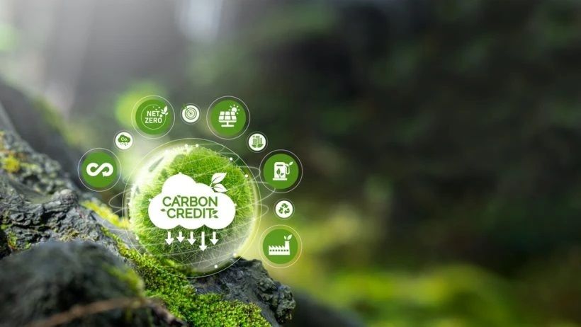 Phát triển bền vững 5/4: 3 công ty kinh doanh tín chỉ carbon đạt chứng nhận 