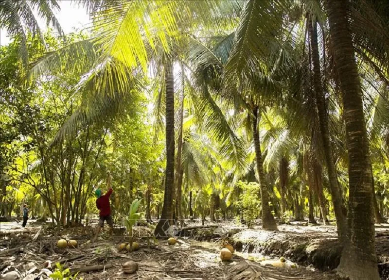 Phát triển bền vững 8/4: Công ty dầu khí Nga muốn mở rộng hợp tác điện gió ngoài khơi Việt Nam 3