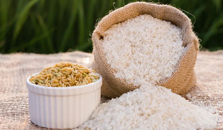 Giá lúa gạo hôm nay ngày 26/4/2024: Tăng 100 đồng/kg với giá lúa 1