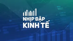 Những điểm mới về thuế giá trị gia tăng, thuế tiêu thụ đặc biệt