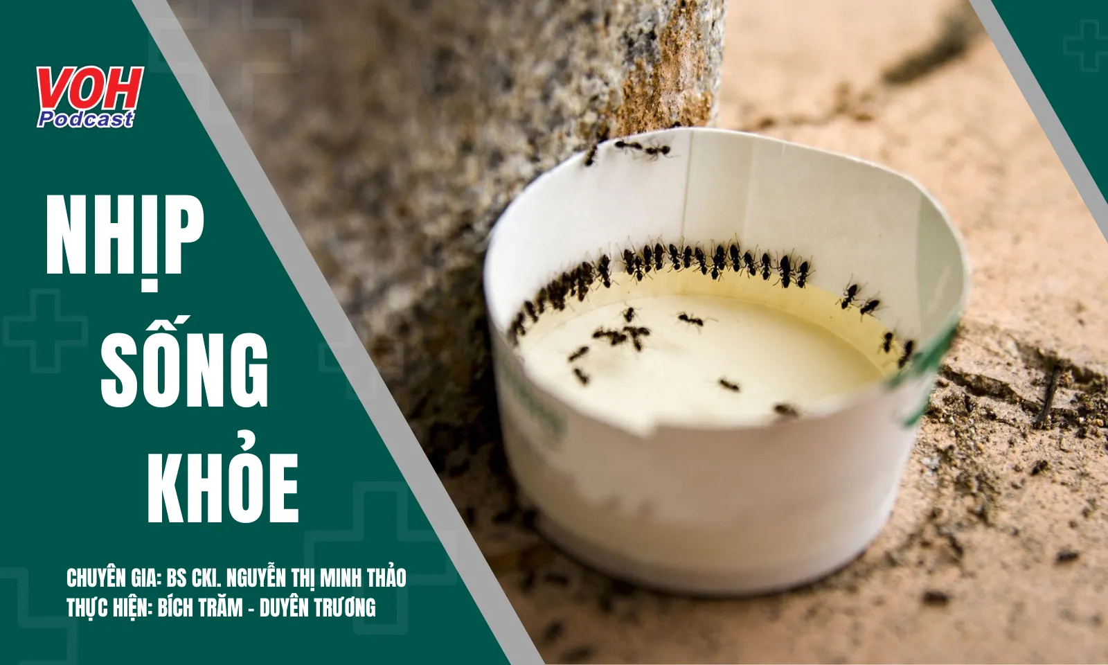Kiến bu nước tiểu – Cảnh báo đái tháo đường