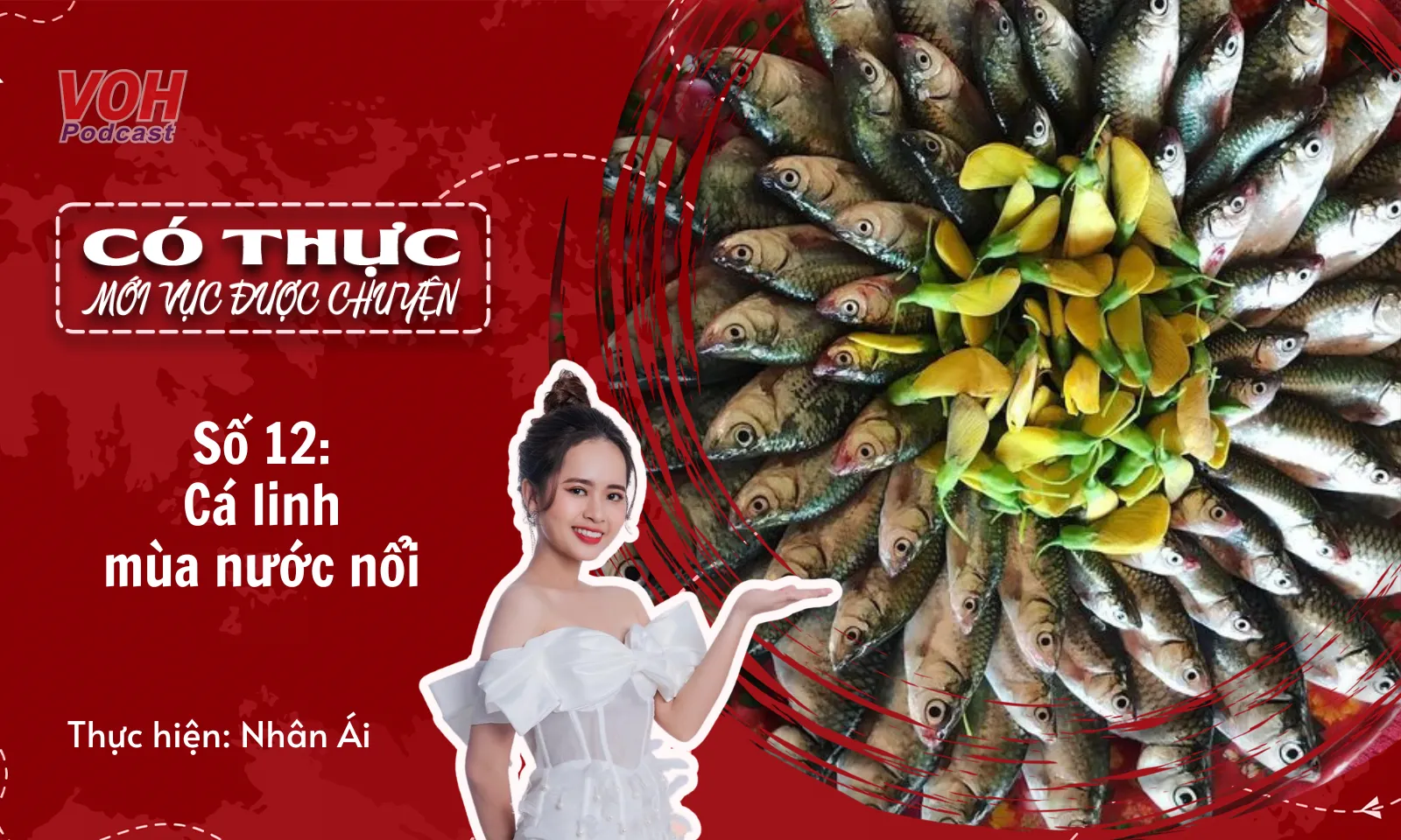 Cá linh mùa nước nổi: Đặc sản miền Tây chiên, xào, lẩu có đủ | CTMVDC #12