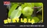Loài cây tử thần Manchineel độc nhất trên thế giới