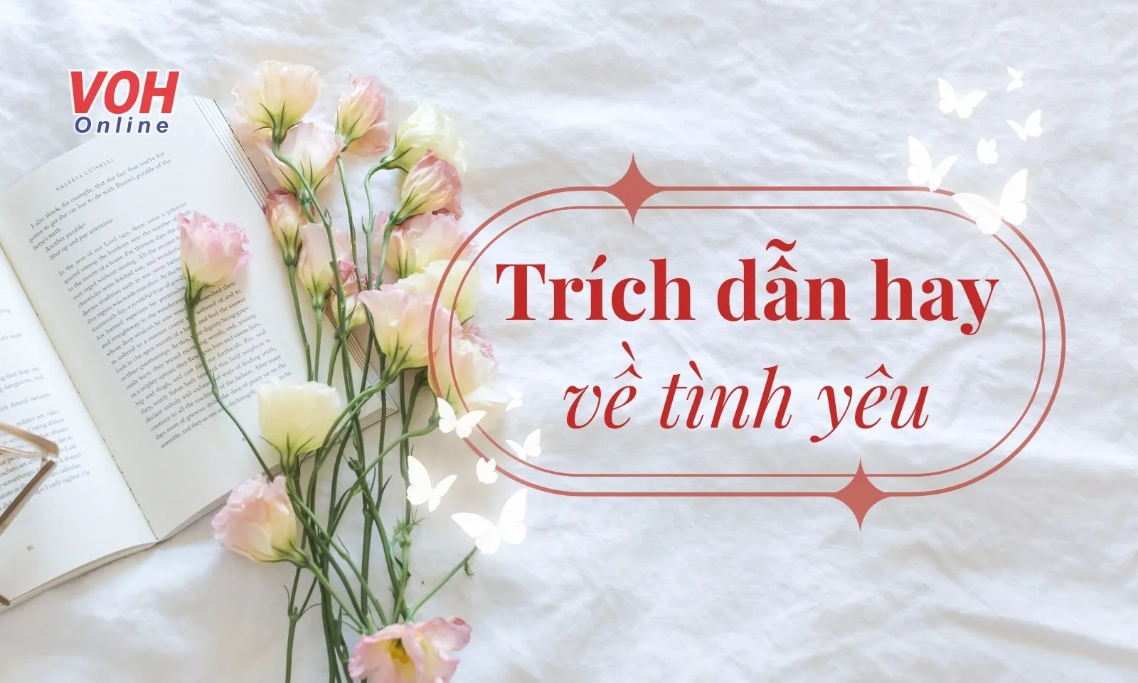 80+ trích dẫn sách hay về tình yêu không nên bỏ lỡ