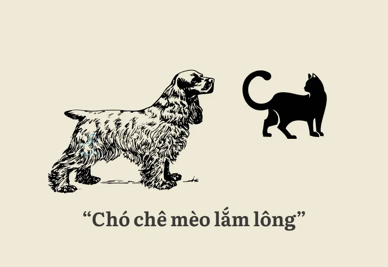 cho-che-meo-lam-long-la-gi-voh