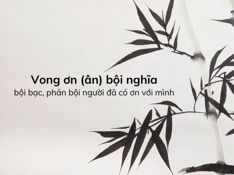 vong-on-boi-nghia-voh-1