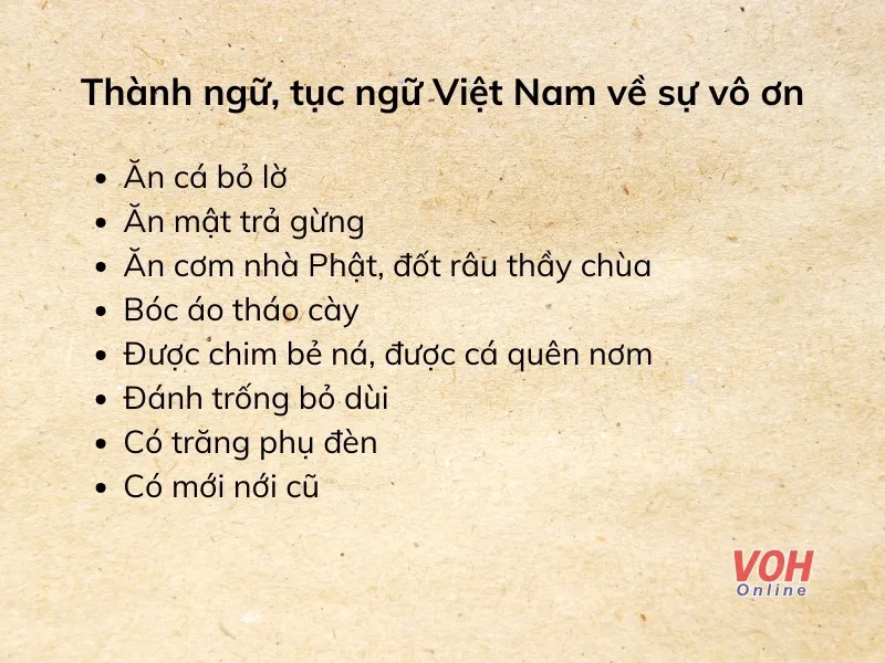 Câu Tục Ngữ Vong Ơn Bội Nghĩa Nói Về Lòng Biết Ơn Và Tôn Trọng