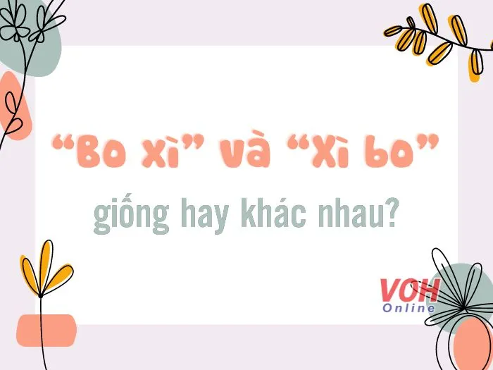 voh-bo-xi-la-gi-3