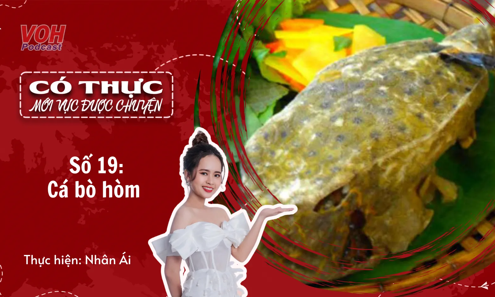 Cá bò hòm - Món gà nước mặn mang hương vị biển Phú Yên | CTMVDC #19