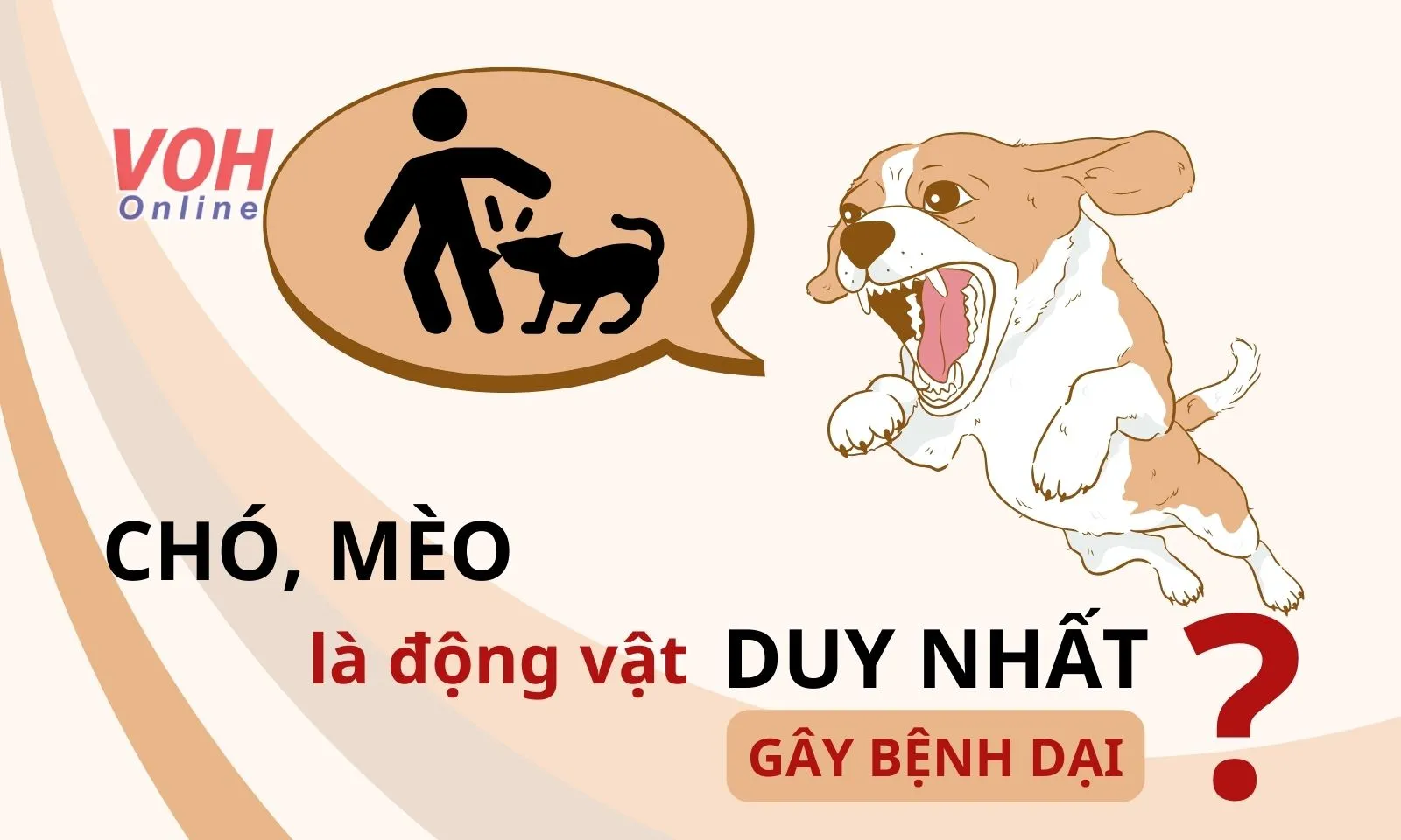 Chó, mèo có phải là động vật duy nhất gây bệnh dại?