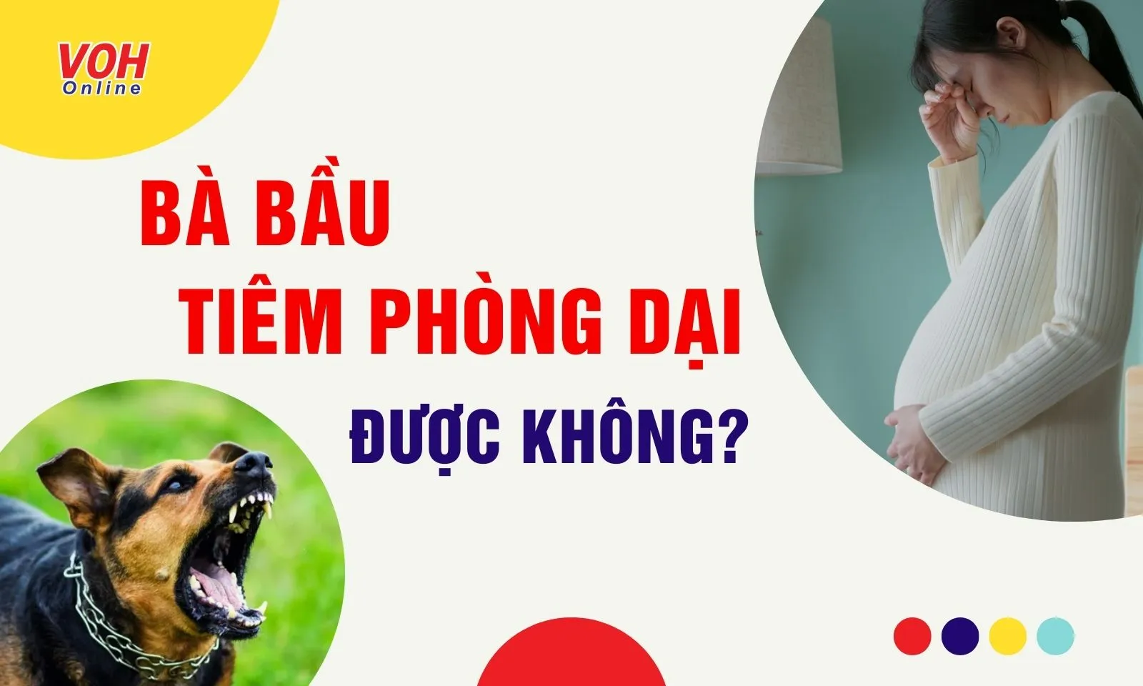 Phụ nữ mang thai tiêm phòng dại được không?