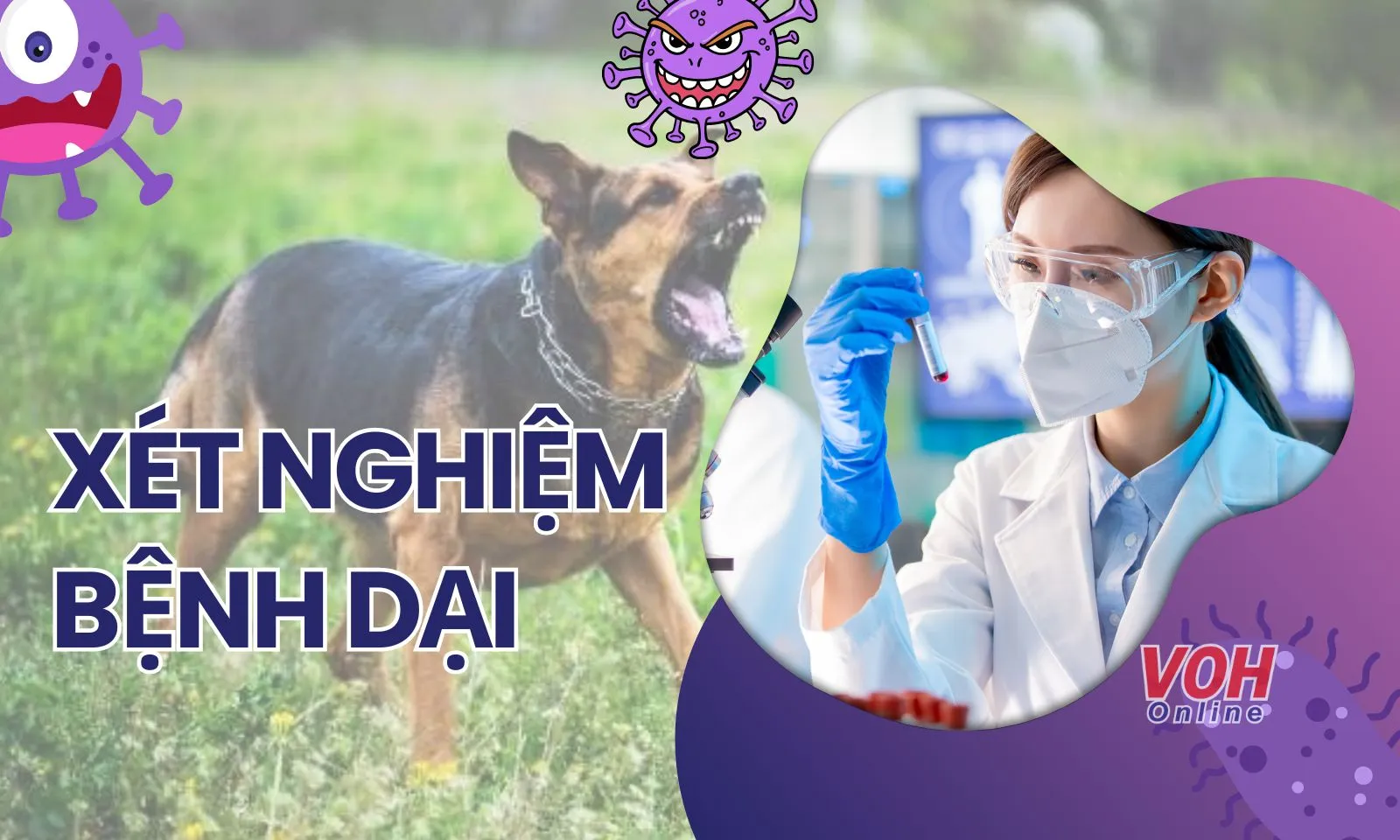 Tại sao không thể phát hiện virus dại qua xét nghiệm máu và nước tiểu?