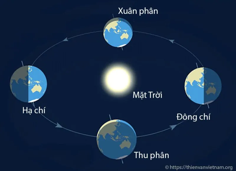 voh-xuan-phan-1