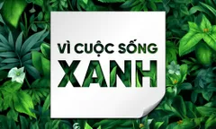 Ứng dụng vật liệu thân thiện và công nghệ tiết kiệm năng lượng trong công trình xanh