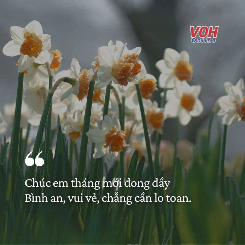 stt-mung-1-dau-thang-may-man-voh.com.vn