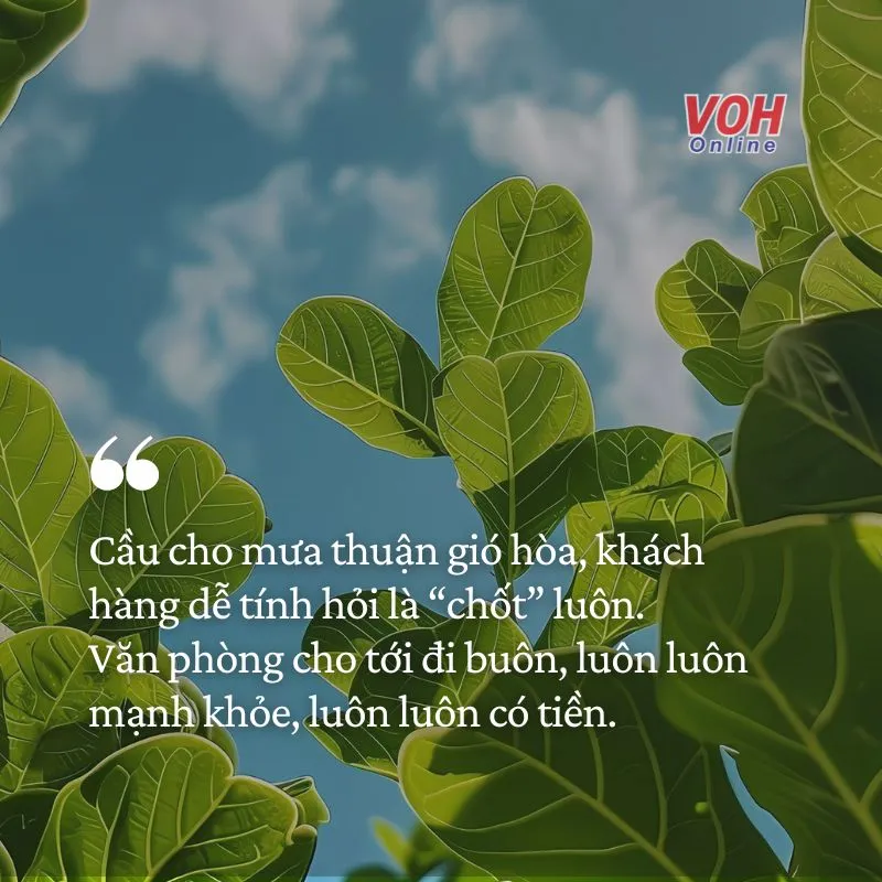 stt-mung-1-hai-huoc-voh.com.vn