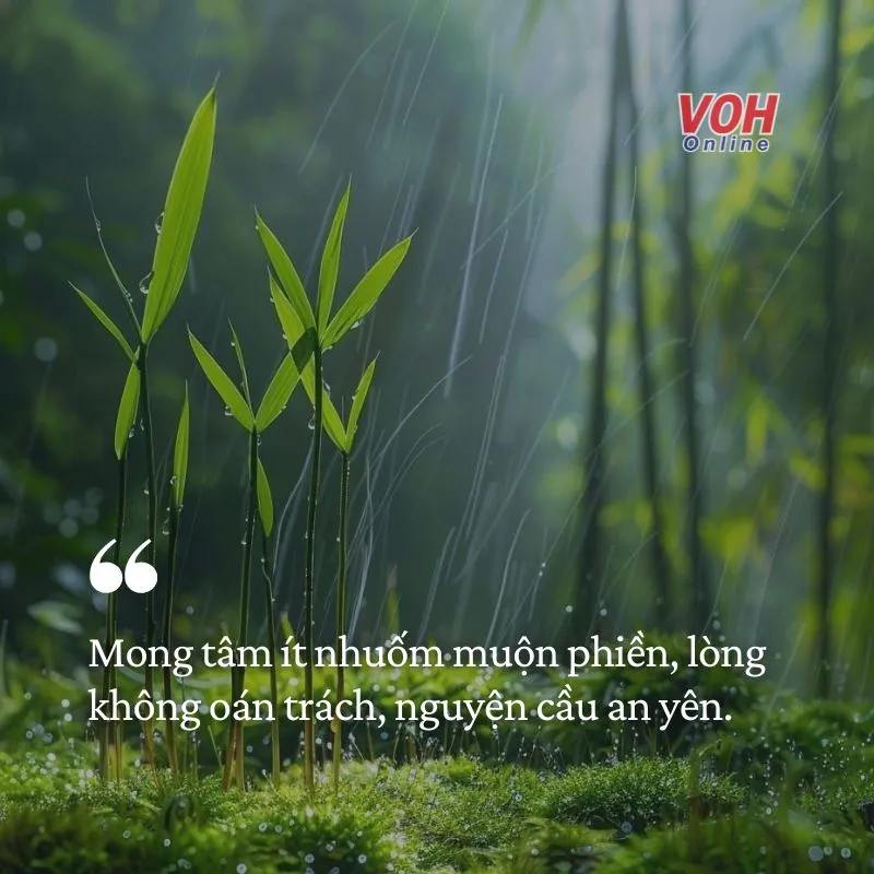 stt-mung-1-ngan-gon-voh.com.vn