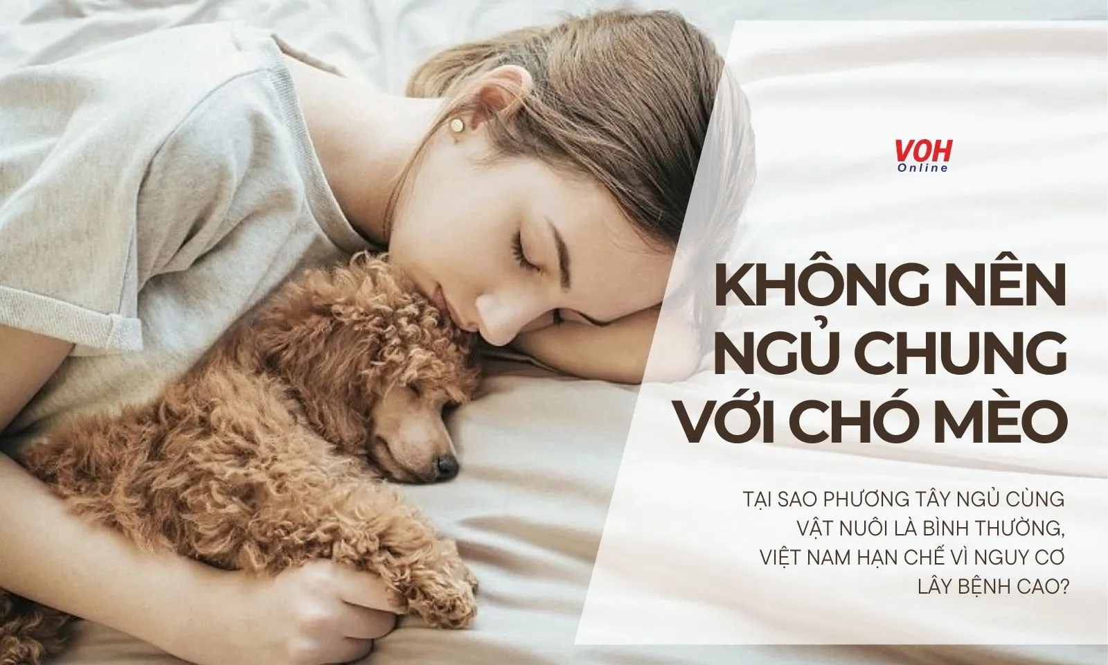 Tại sao nước ta không khuyến khích ngủ chung với chó mèo?
