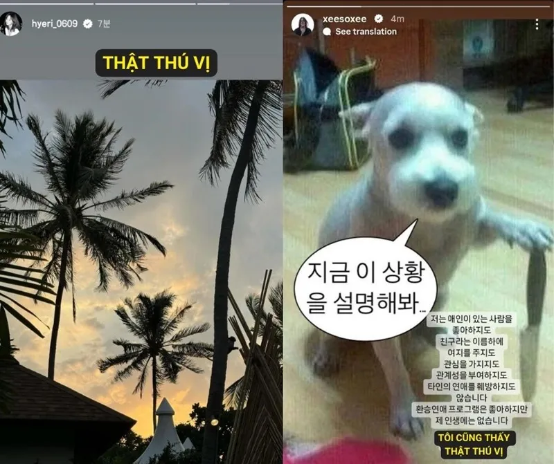 5-cau-noi-viral-nhat-mxh-dau-nam-2024-showbiz-gop-vui-hon-nua-danh-sach (2)