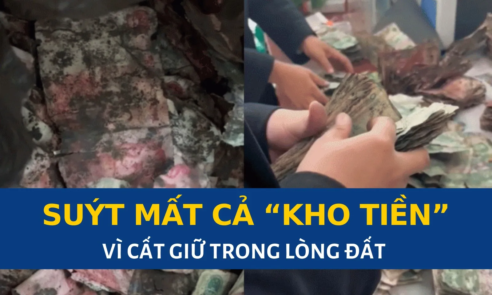 Cụ ông 80 tuổi cất giữ “kho tiền” dưới lòng đất và cái kết buồn