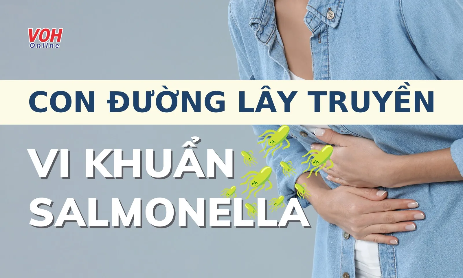Khuẩn Salmonella lây lan, phát tán bằng cách nào?