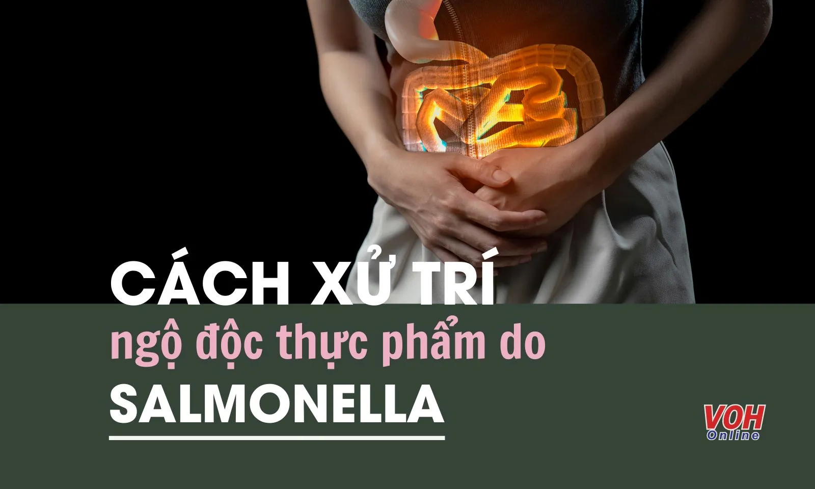 Cách xử trí nhanh khi bị ngộ độc thực phẩm do Salmonella