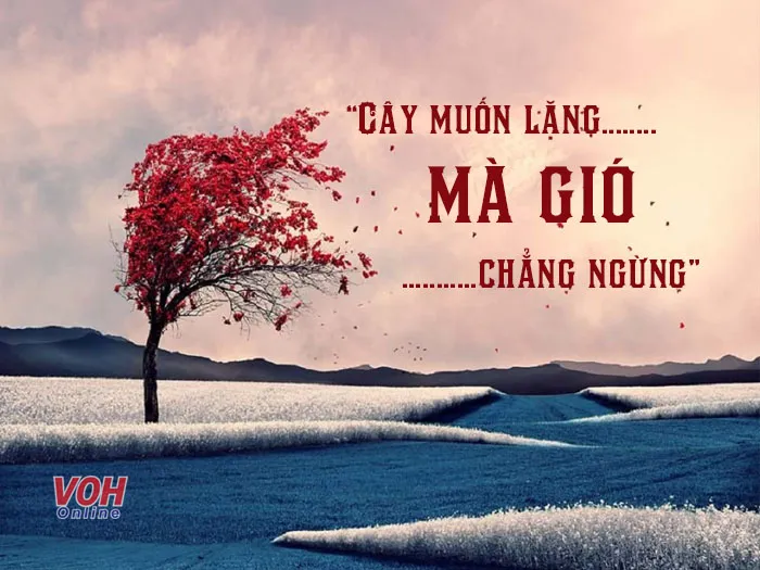 voh-cay-muon-lang-ma-gio-chang-ngung-1