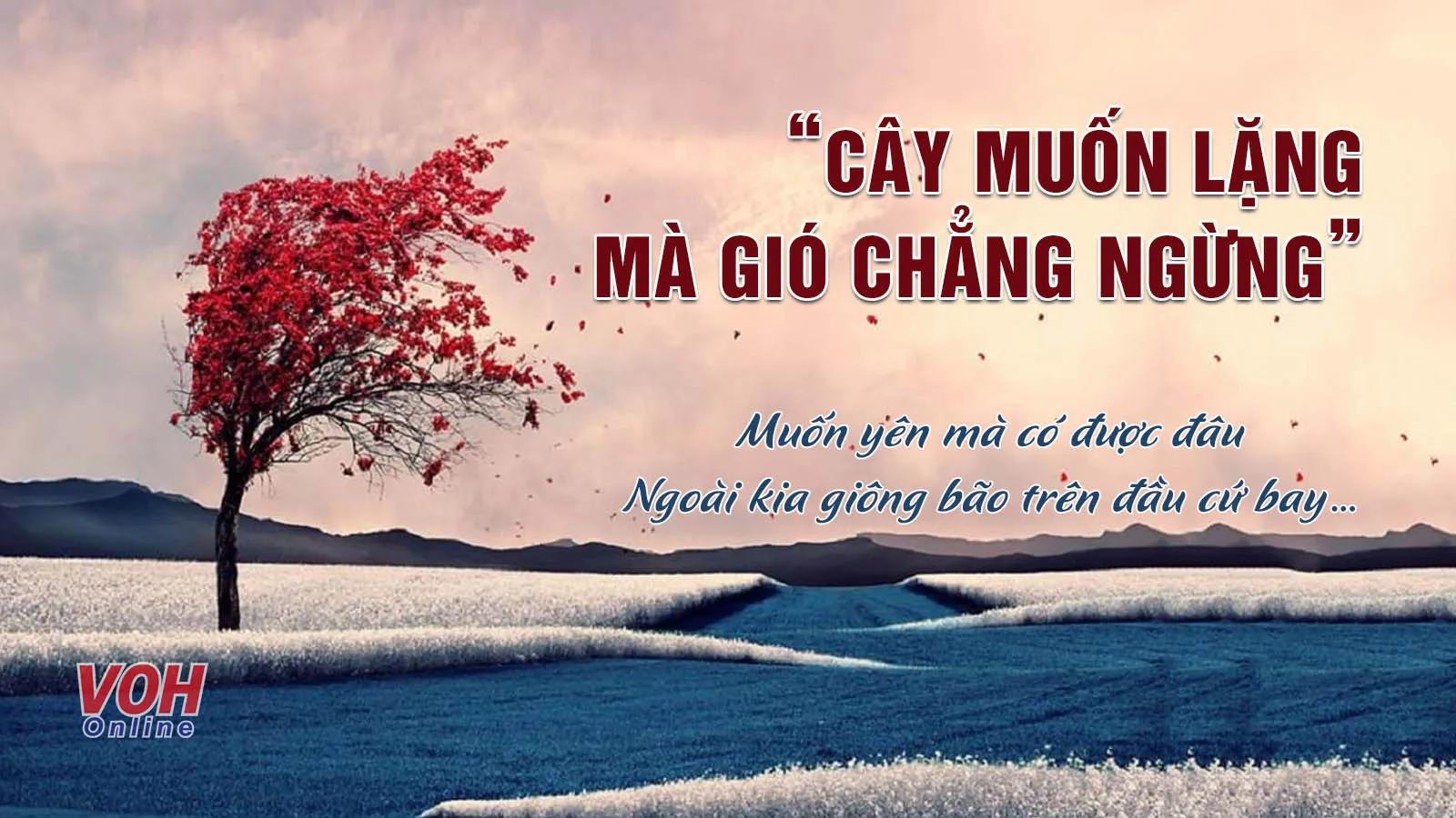 Ý nghĩa câu nói Cây muốn lặng mà gió chẳng ngừng là gì?