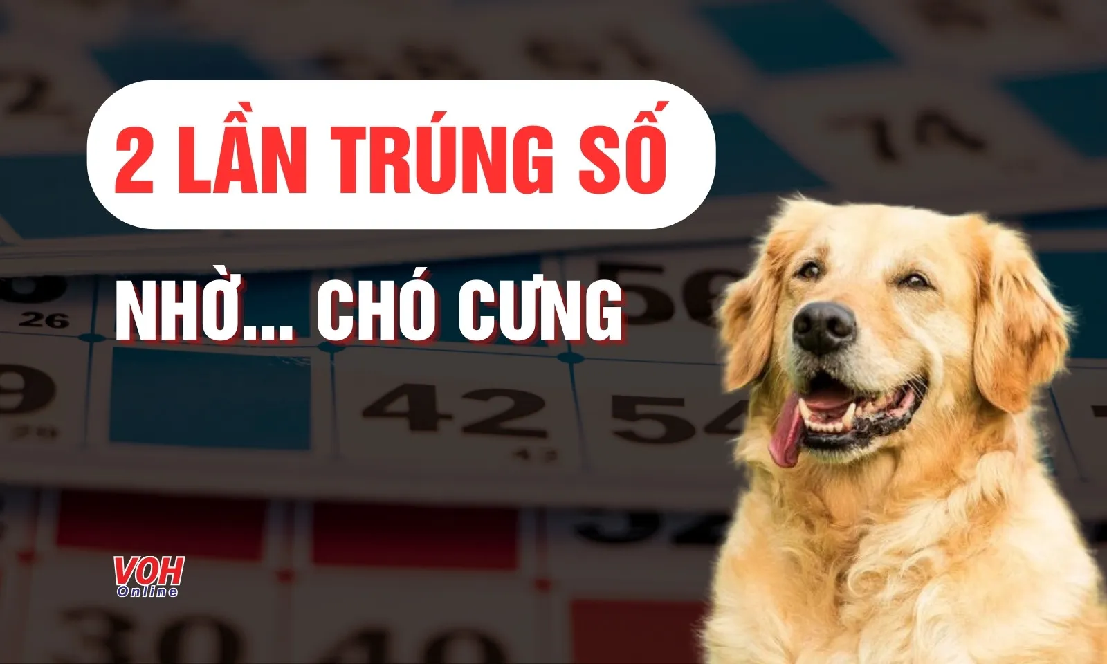 Hai lần trúng số nhờ… chó cưng