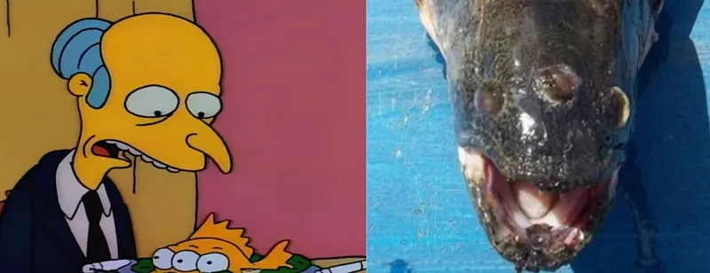 the-simpsons-va-su-trung-hop-dang-so-voi-cac-su-kien-thuc-te (5)