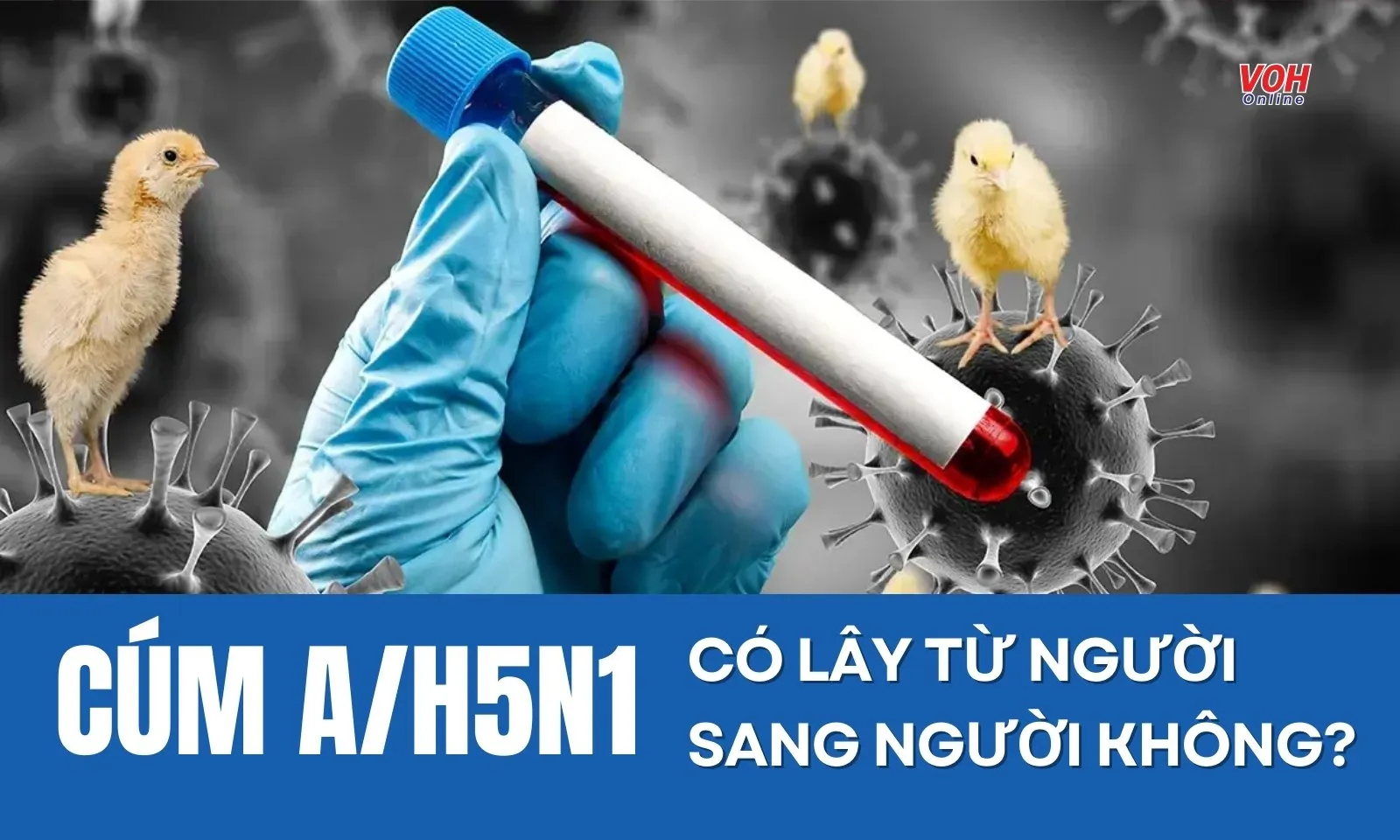 Cúm A/H5N1 có lây truyền từ người sang người không?