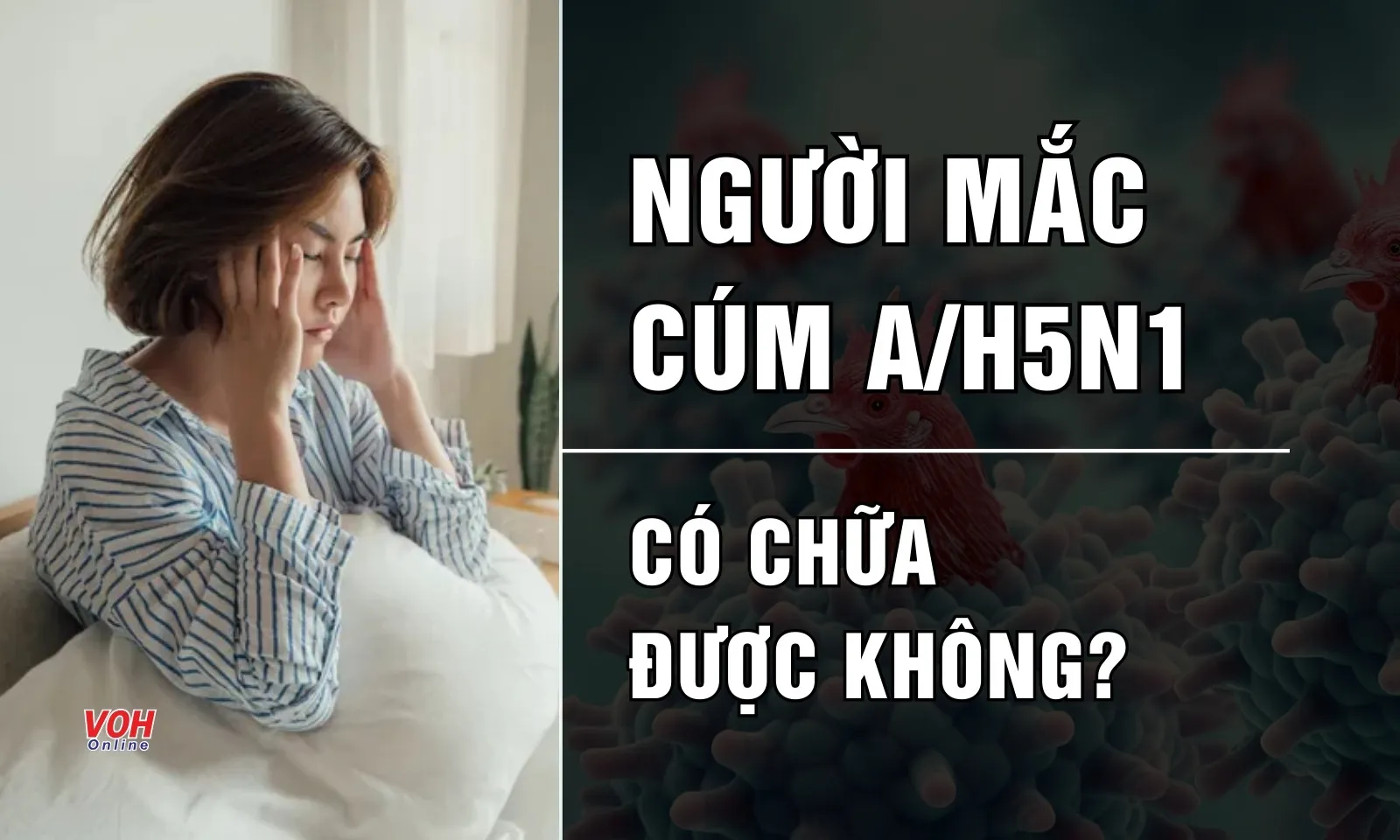 Người nhiễm virus cúm A/H5N1 có chữa được không?