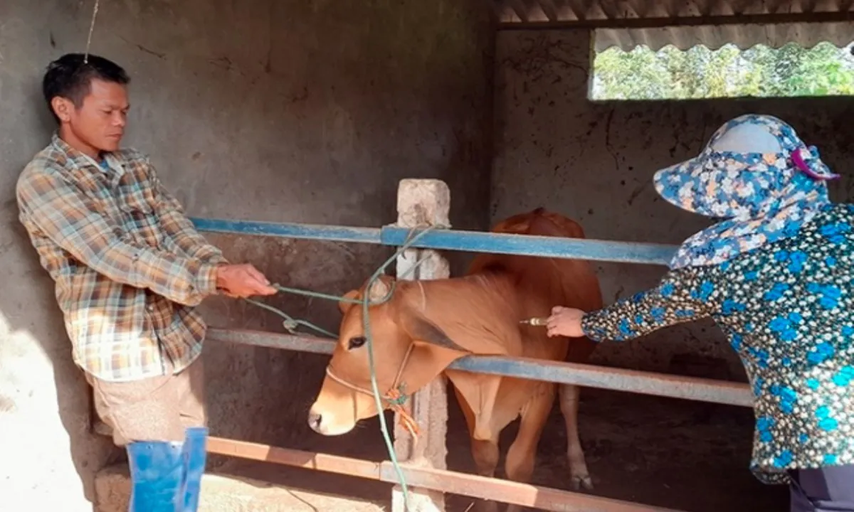 Điểm tin chiều 12/4: Nguy cơ dịch bệnh bùng phát vì tiêm phòng quá thấp 