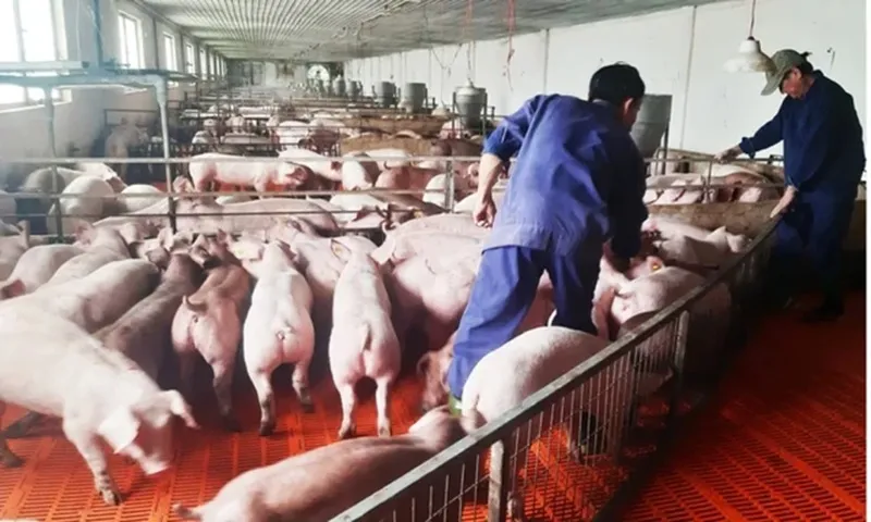 vaccine-17129014140341834364902