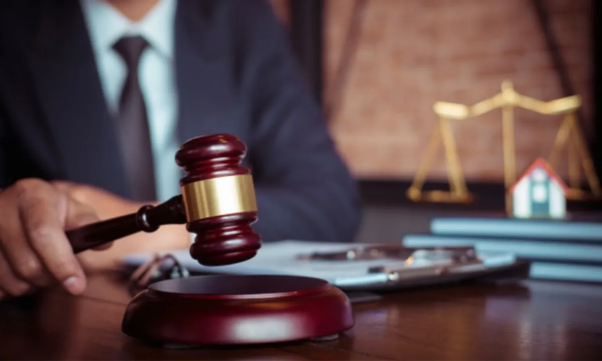 luat-su-dua-hoi-lo-1