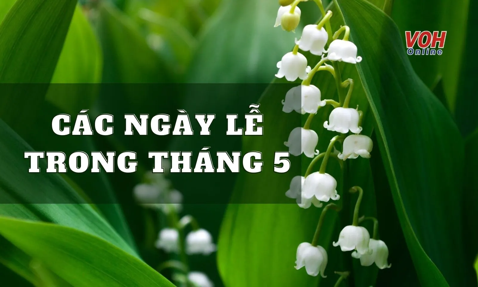 Tháng 5 có những ngày lễ gì? Các sự kiện nổi bật, đáng chú ý