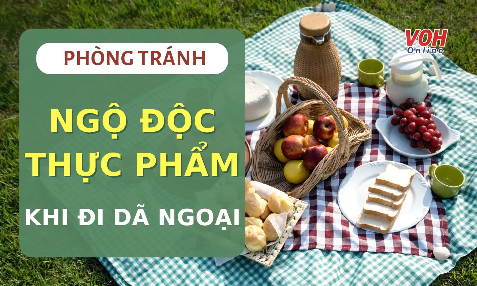 Dã ngoại an toàn: 7 bí kíp phòng tránh ngộ độc thực phẩm