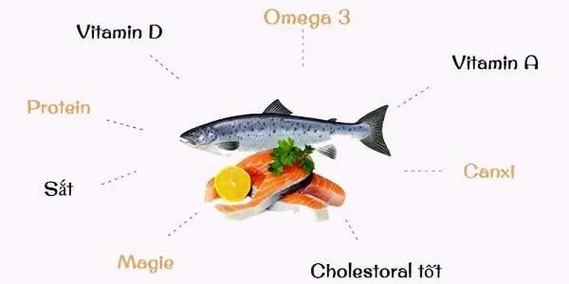 Các chất dinh dưỡng có trong cá