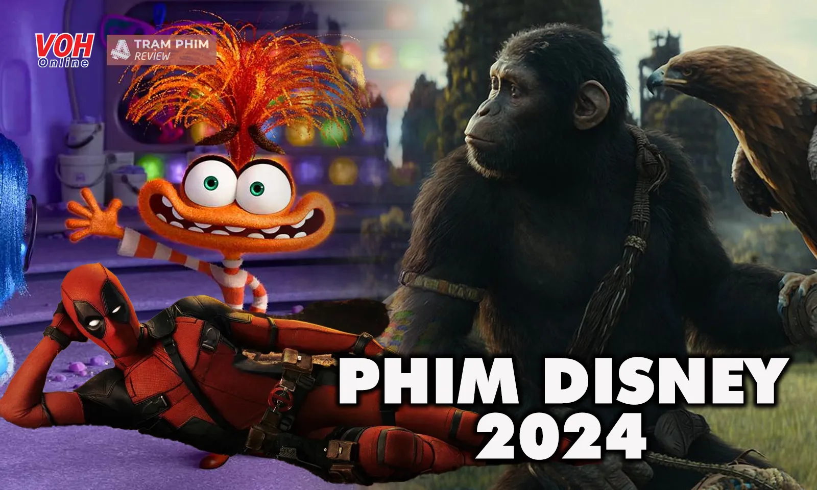 Choáng ngợp với loạt phim được Disney “thả xích” trong năm 2024, toàn bom tấn